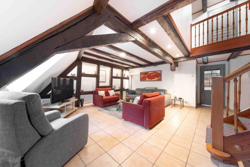 Les Lionceaux, 120M2 A Colmar, Place De Parking Gratuite Exterior foto