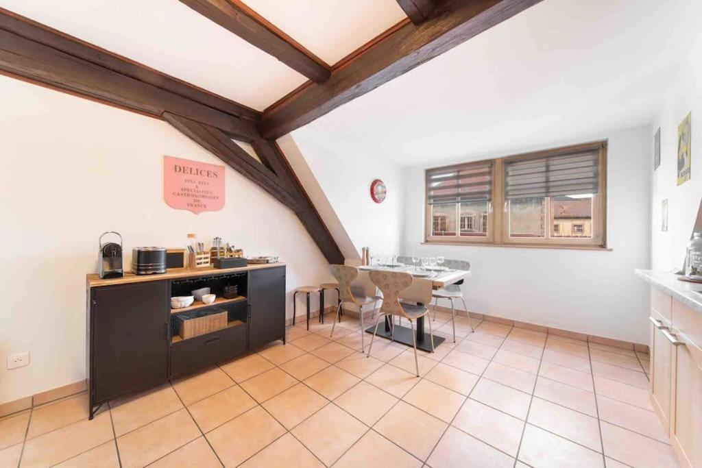 Les Lionceaux, 120M2 A Colmar, Place De Parking Gratuite Exterior foto