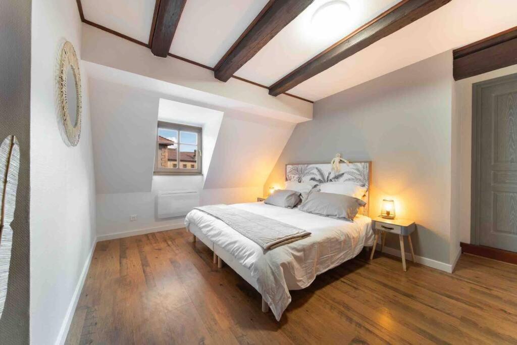 Les Lionceaux, 120M2 A Colmar, Place De Parking Gratuite Exterior foto